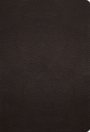 ESV Large Print Compact Bible, Red Letter (Buffalo Leather, Deep Brown)