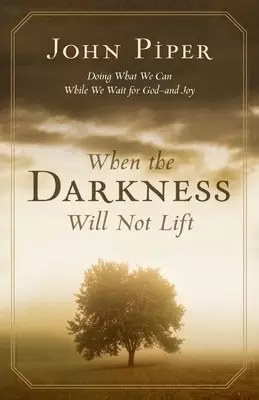 When the Darkness Will Not Lift: Doing What We Can While We Wait for GodAnd Joy