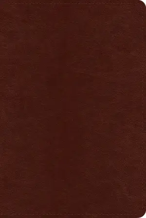 Cover of ESV Systematic Theology Study Bible