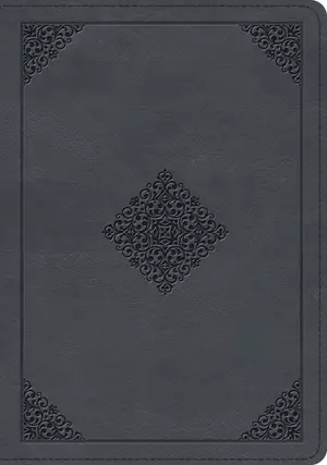 ESV Large Print Wide Margin Bible (TruTone, Slate Blue, Ornament Design)