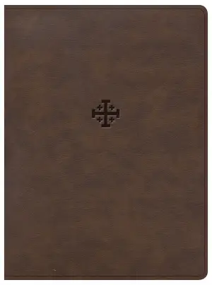 CSB Life Connections Study Bible, Brown LeatherTouch, Indexed
