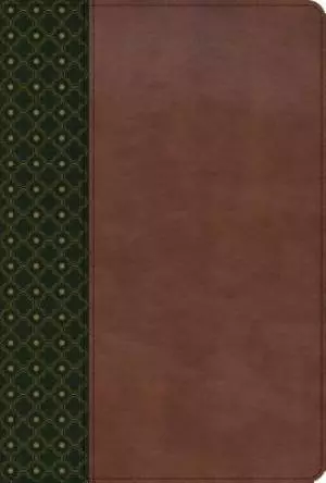 RVR 1960 Biblia de Estudio Scofield, verde oscuro/casta