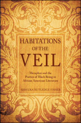 Habitations of the Veil : Metaphor and the Poetics of Black Being in African American Literature