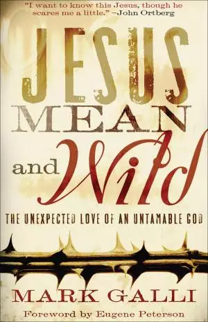 Jesus Mean and Wild [eBook]