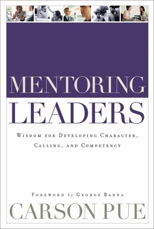 Mentoring Leaders [eBook]