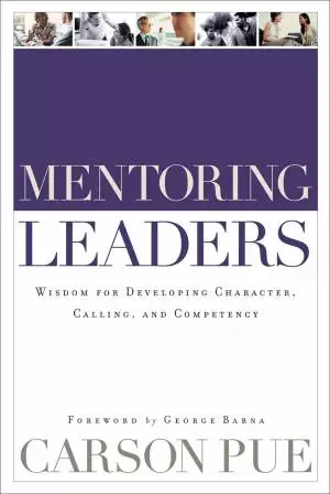 Mentoring Leaders [eBook]