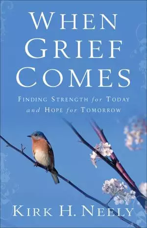 When Grief Comes [eBook]