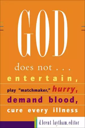 God Does Not... [eBook]