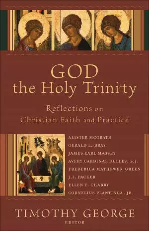 God the Holy Trinity (Beeson Divinity Studies) [eBook]