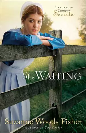 The Waiting (Lancaster County Secrets Book #2) [eBook]