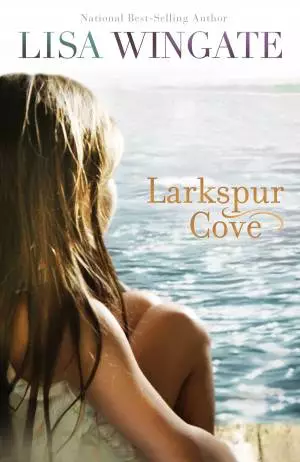 Larkspur Cove (The Shores of Moses Lake Book #1) [eBook]