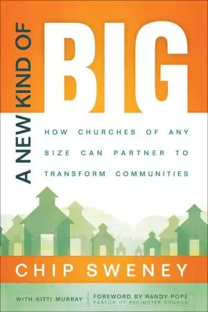 A New Kind of Big [eBook]