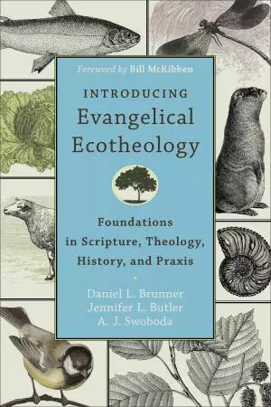 Introducing Evangelical Ecotheology [eBook]
