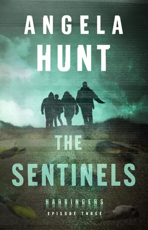 The Sentinels (Harbingers)