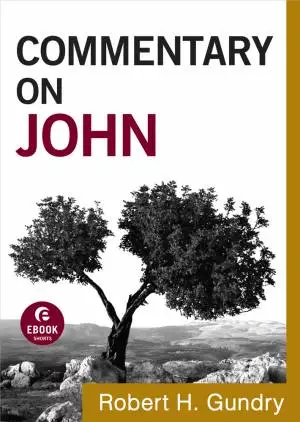 Commentary on John (Commentary on the New Testament Book #4) [eBook]