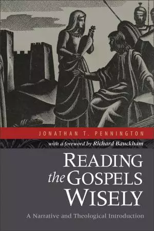 Reading the Gospels Wisely [eBook]
