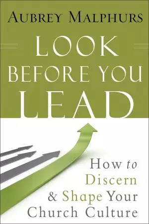 Look Before You Lead [eBook]