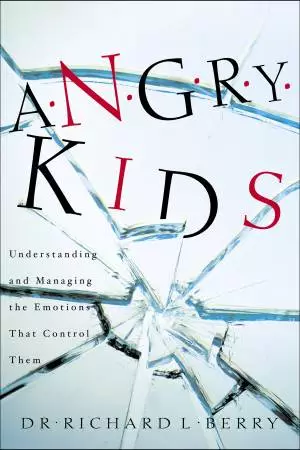 Angry Kids [eBook]