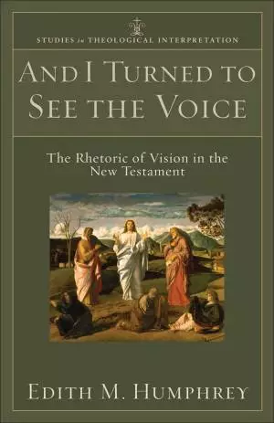 And I Turned to See the Voice (Studies in Theological Interpretation) [eBook]