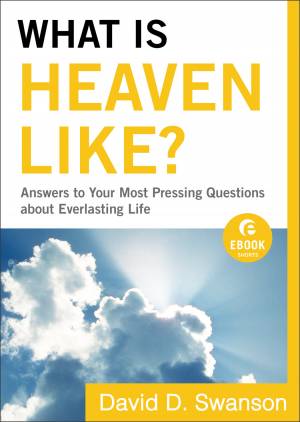 What Is Heaven Like? ( Shorts) [eBook]