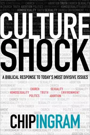 Culture Shock [eBook]