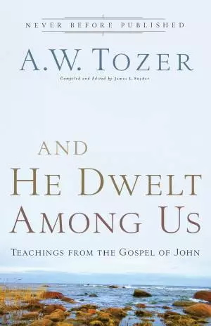 And He Dwelt Among Us [eBook]