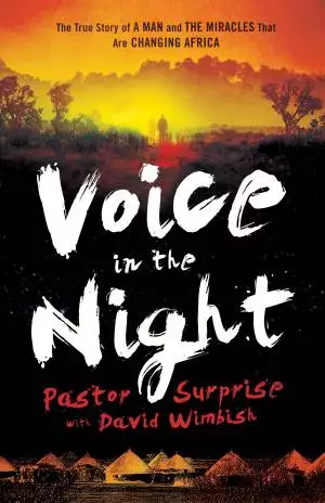 Voice in the Night [eBook]