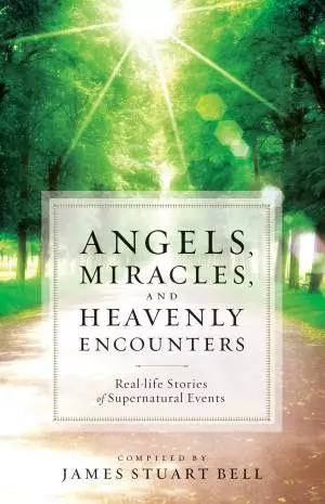 Angels, Miracles, and Heavenly Encounters [eBook]