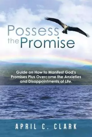Possess the Promise: Guide on How to Manifest God's Promises Plus Overcome the Anxieties and Disappointments of Life.