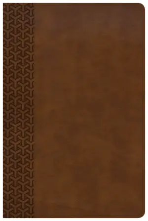 KJV Everyday Study Bible