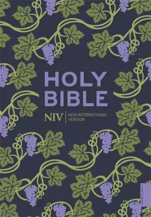 NIV Holy Bible, Purple, Paperback, Hodder Classic Design, Reading Plan, Anglicized Text, Topics Guide