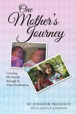 One Mother's Journey: Creating My Family Through in Vitro Fertilization
