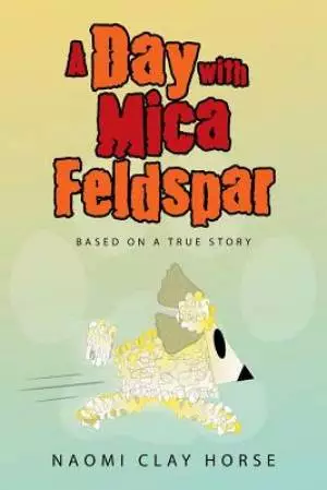 A Day with Mica Feldspar: Based on a True Story