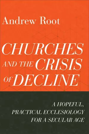 Churches and the Crisis of Decline (Ministry in a Secular Age Book #4)
