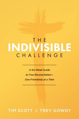 Indivisible Challenge, The