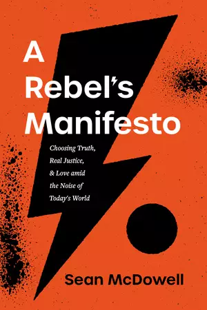 Rebel's Manifesto