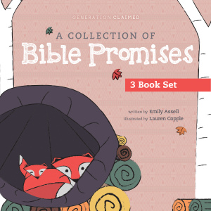 A Collection of Bible Promises 3-book set: You Are / Tonight / Chosen