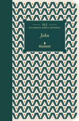NLT Filament Bible Journal: The Gospel Of John