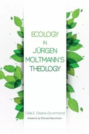 Ecology in Jurgen Moltmann's Theology