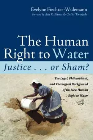 The Human Right to Water: Justice . . . or Sham?