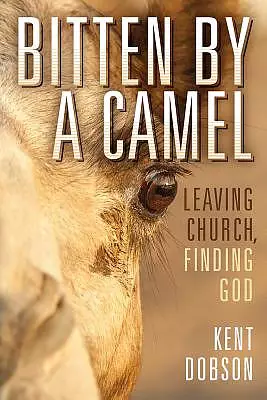 Bitten by a Camel