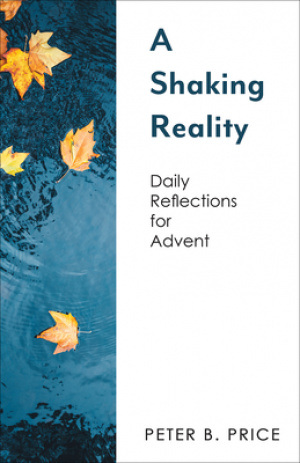 A Shaking Reality: Daily Reflections for Advent