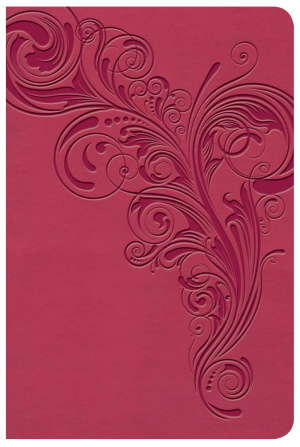 KJV Large Print Compact Reference Bible, Pink LeatherTouch