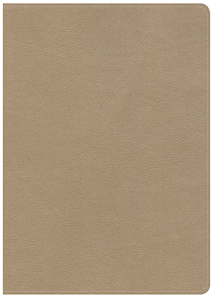 CSB She Reads Truth Bible, Champagne Gold LeatherTouch, Indexed