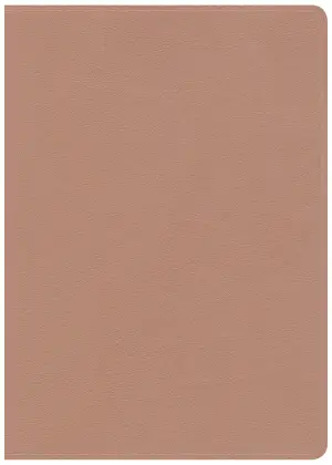 CSB She Reads Truth Bible, Rose Gold, Imitation Leather, Devotional, Women's Study, Verse Illustrations, Colour Timelines, Maps, Book Introductions, Gilt Edged