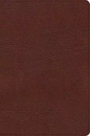 CSB Verse-by-Verse Reference Bible, Brown Bonded Leather
