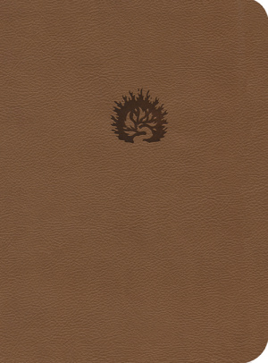ESV Reformation Study Bible