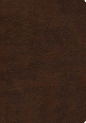 NASB 2020 Large Print Ultrathin Reference Bible, Brown
