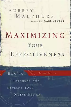 Maximizing Your Effectiveness [eBook]