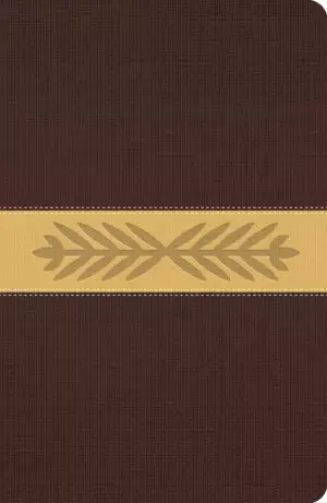 The Message Bible Paraphrase, Bible, Brown, Imitation Leather, One-Column Layout, Timelines, Charts, Ribbon Marker
